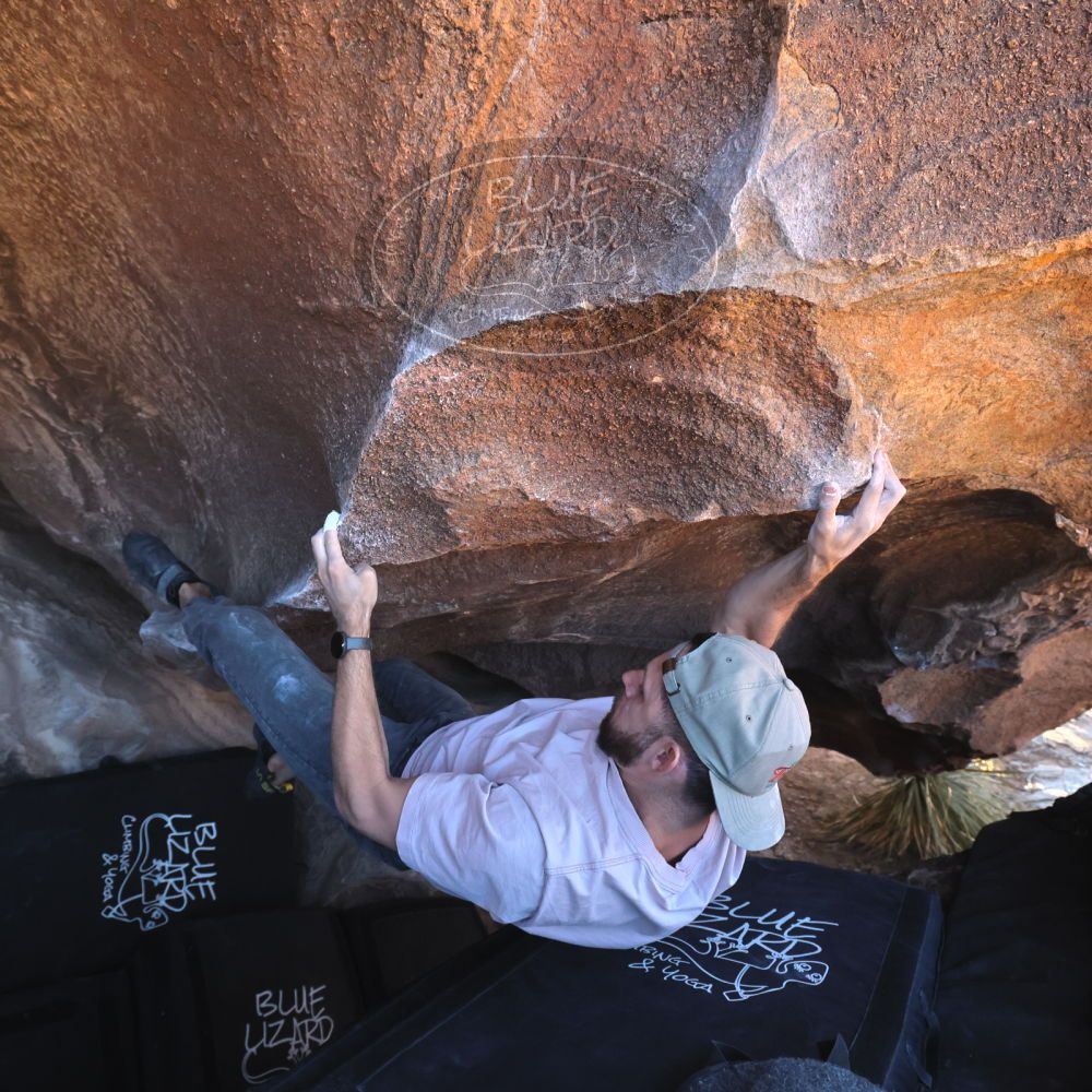 

Filename: SRM_20260117_1442040.jpg
Aperture: f/5.6
Shutter Speed: 1/640
Body: Canon EOS R6
Lens: Canon EF 16-35mm f/2.8 L