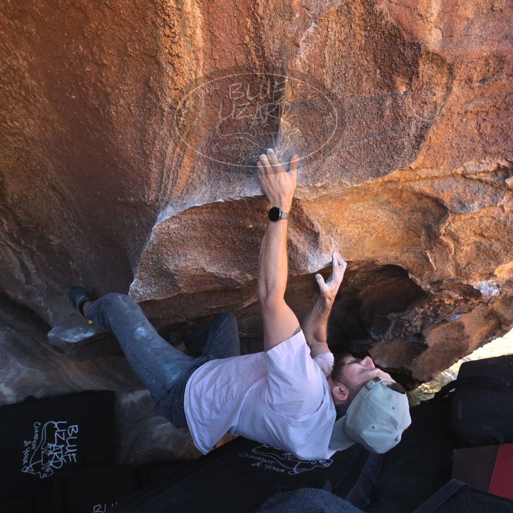 

Filename: SRM_20260117_1442150.jpg
Aperture: f/5.6
Shutter Speed: 1/640
Body: Canon EOS R6
Lens: Canon EF 16-35mm f/2.8 L