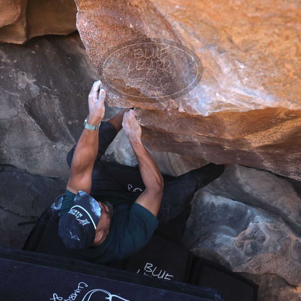 

Filename: SRM_20260117_1447240.jpg
Aperture: f/5.6
Shutter Speed: 1/640
Body: Canon EOS R6
Lens: Canon EF 16-35mm f/2.8 L