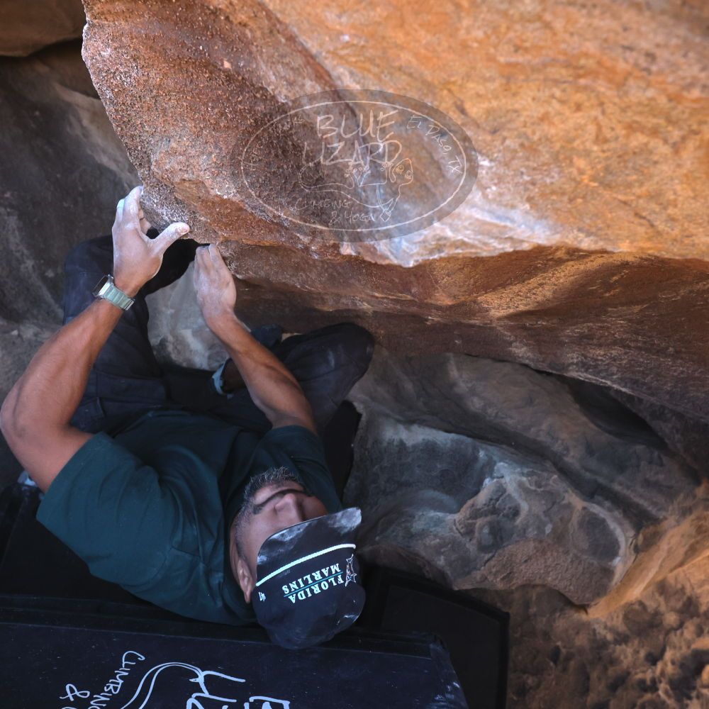 

Filename: SRM_20260117_1447310.jpg
Aperture: f/5.6
Shutter Speed: 1/640
Body: Canon EOS R6
Lens: Canon EF 16-35mm f/2.8 L