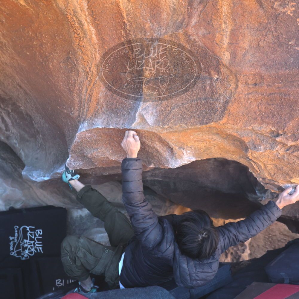 

Filename: SRM_20260117_1454190.jpg
Aperture: f/5.6
Shutter Speed: 1/640
Body: Canon EOS R6
Lens: Canon EF 16-35mm f/2.8 L