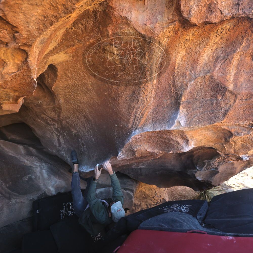 

Filename: SRM_20260117_1510590.jpg
Aperture: f/5.6
Shutter Speed: 1/640
Body: Canon EOS R6
Lens: Canon EF 16-35mm f/2.8 L