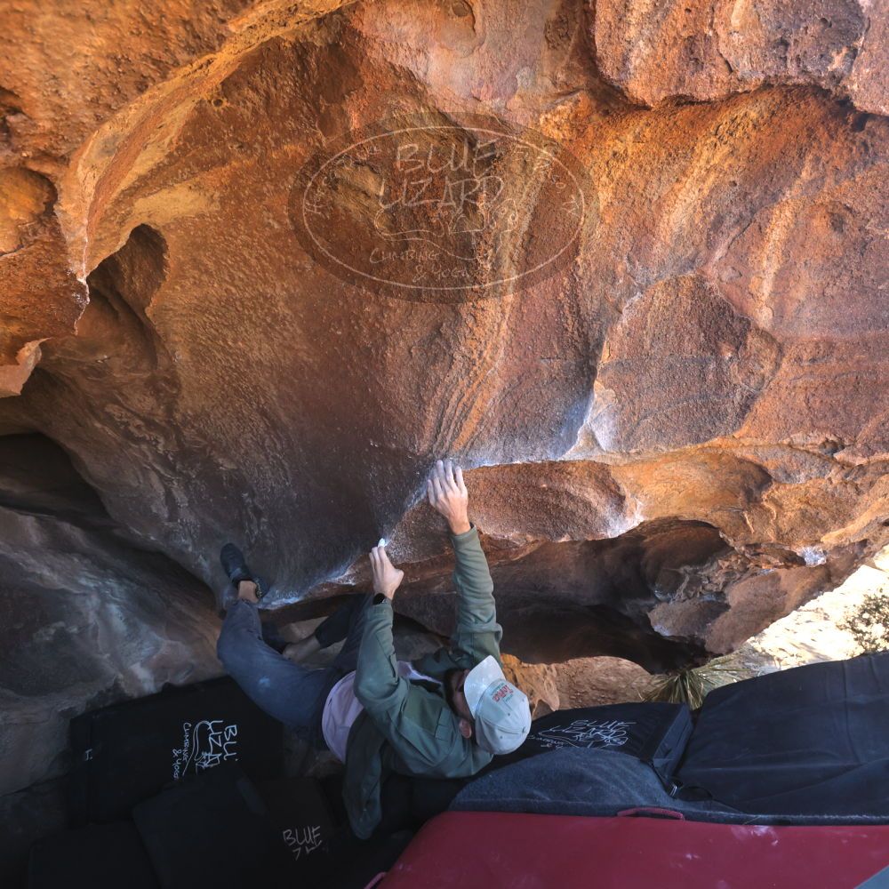 

Filename: SRM_20260117_1511040.jpg
Aperture: f/5.6
Shutter Speed: 1/640
Body: Canon EOS R6
Lens: Canon EF 16-35mm f/2.8 L