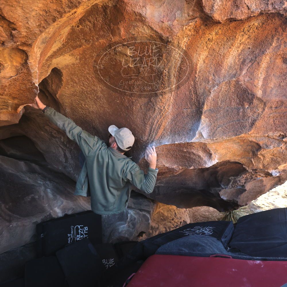 

Filename: SRM_20260117_1511190.jpg
Aperture: f/5.6
Shutter Speed: 1/640
Body: Canon EOS R6
Lens: Canon EF 16-35mm f/2.8 L