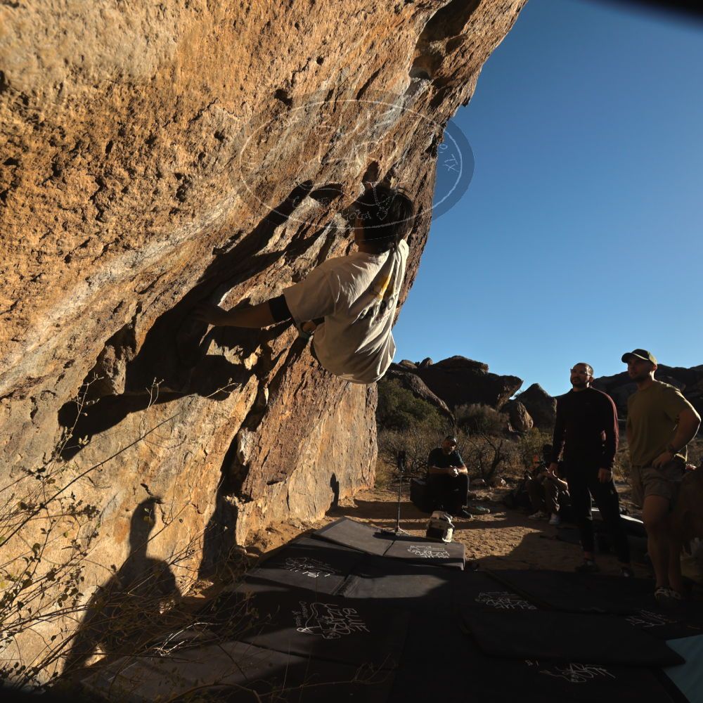 

Filename: SRM_20260117_1558570.jpg
Aperture: f/8.0
Shutter Speed: 1/1000
Body: Canon EOS R6
Lens: Canon EF 16-35mm f/2.8 L