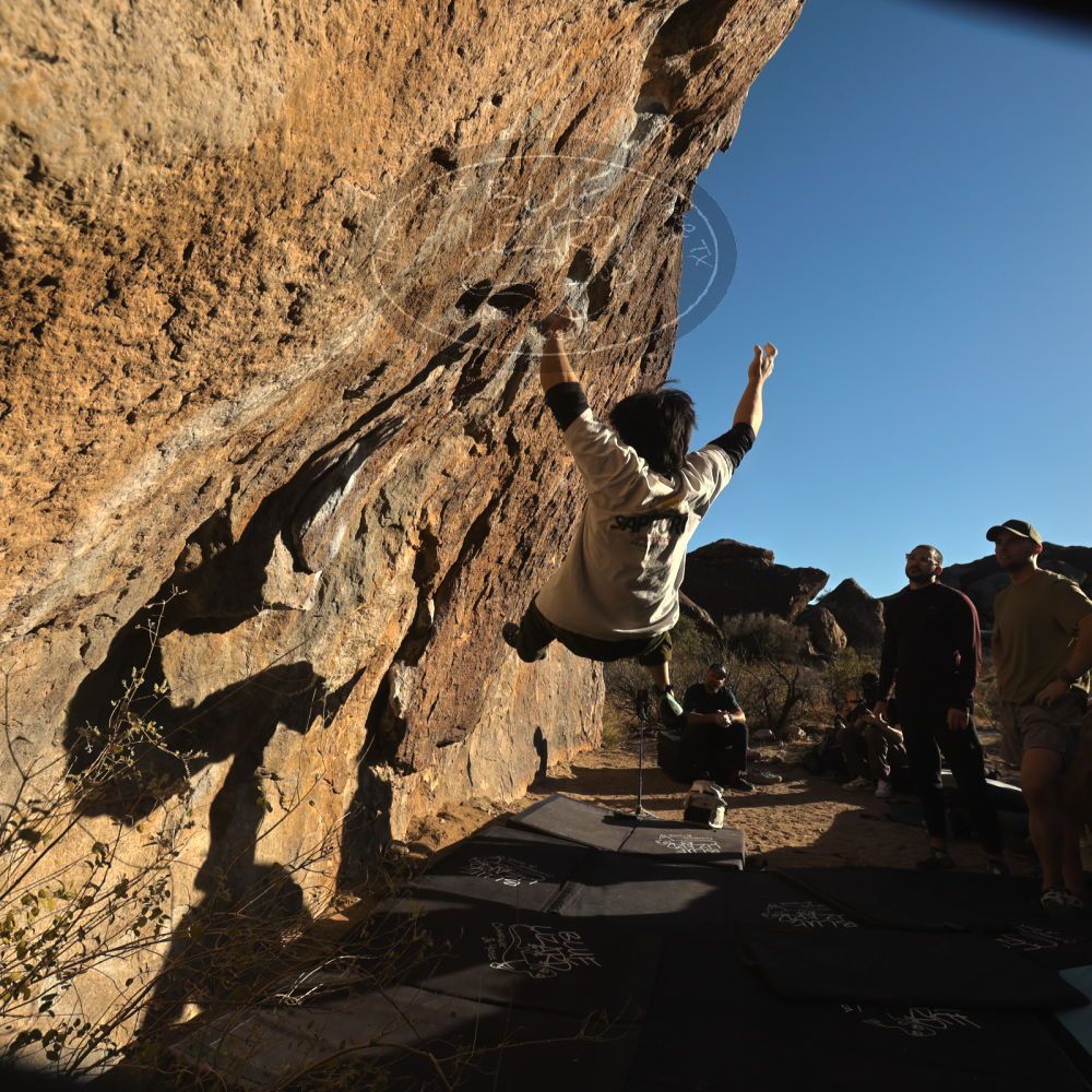 

Filename: SRM_20260117_1559010.jpg
Aperture: f/8.0
Shutter Speed: 1/1000
Body: Canon EOS R6
Lens: Canon EF 16-35mm f/2.8 L