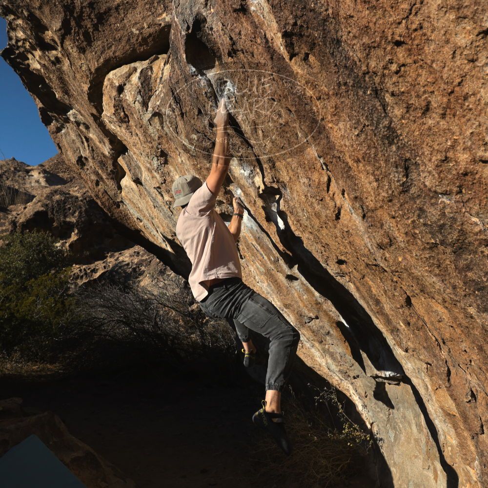 

Filename: SRM_20260117_1604550.jpg
Aperture: f/8.0
Shutter Speed: 1/1000
Body: Canon EOS R6
Lens: Canon EF 16-35mm f/2.8 L