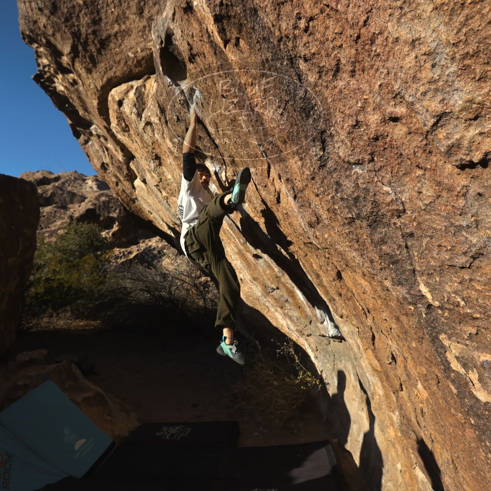 

Filename: SRM_20260117_1605510.jpg
Aperture: f/8.0
Shutter Speed: 1/1000
Body: Canon EOS R6
Lens: Canon EF 16-35mm f/2.8 L