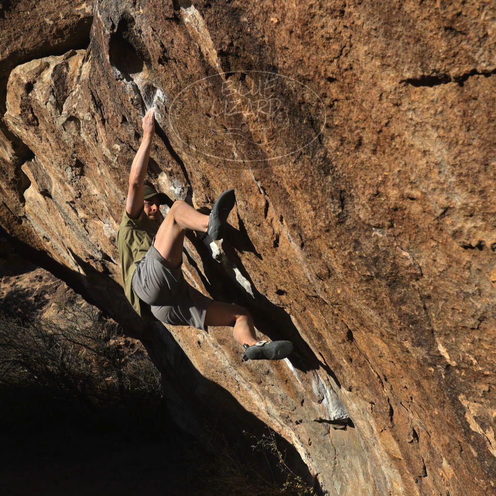 

Filename: SRM_20260117_1607490.jpg
Aperture: f/8.0
Shutter Speed: 1/1000
Body: Canon EOS R6
Lens: Canon EF 16-35mm f/2.8 L