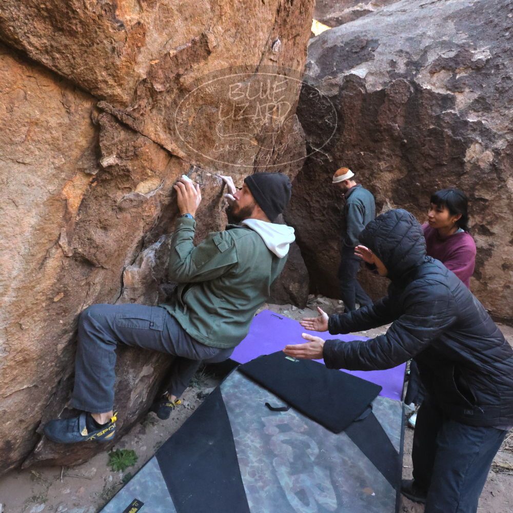 Filename: SRM_20260118_1051470.jpg
Aperture: f/8.0
Shutter Speed: 1/1000
Body: Canon EOS R6
Lens: Canon EF 16-35mm f/2.8 L