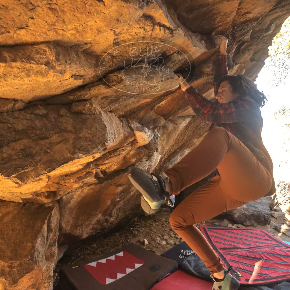 

Filename: SRM_20260118_1052151.jpg
Aperture: f/8.0
Shutter Speed: 1/1000
Body: Canon EOS R6
Lens: Canon EF 16-35mm f/2.8 L