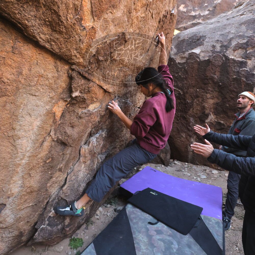 

Filename: SRM_20260118_1054150.jpg
Aperture: f/5.6
Shutter Speed: 1/500
Body: Canon EOS R6
Lens: Canon EF 16-35mm f/2.8 L