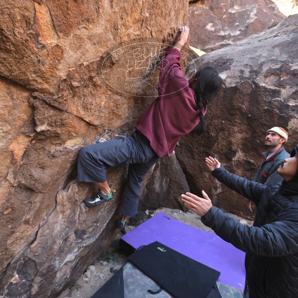 

Filename: SRM_20260118_1054170.jpg
Aperture: f/5.6
Shutter Speed: 1/500
Body: Canon EOS R6
Lens: Canon EF 16-35mm f/2.8 L