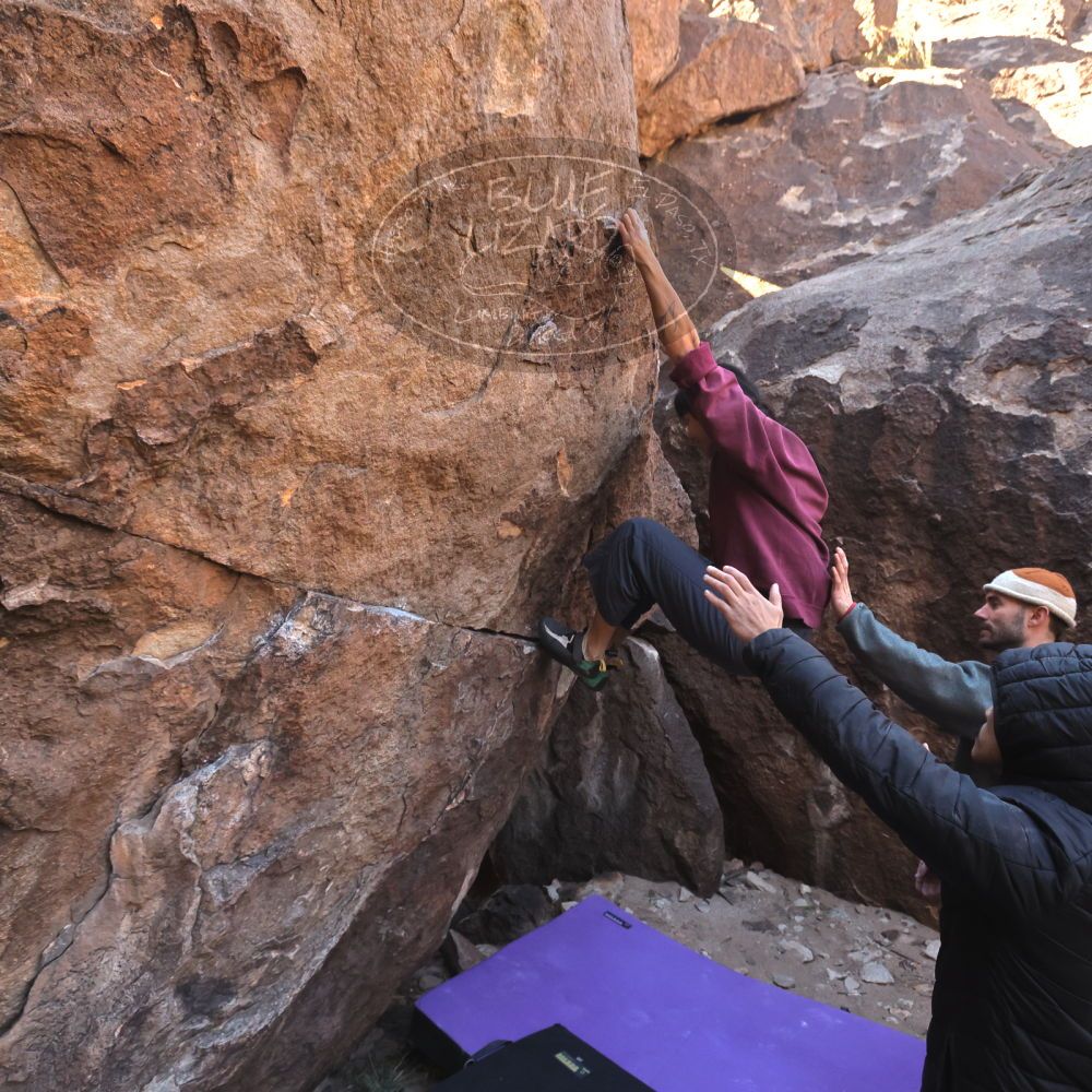 Filename: SRM_20260118_1054220.jpg
Aperture: f/5.6
Shutter Speed: 1/500
Body: Canon EOS R6
Lens: Canon EF 16-35mm f/2.8 L