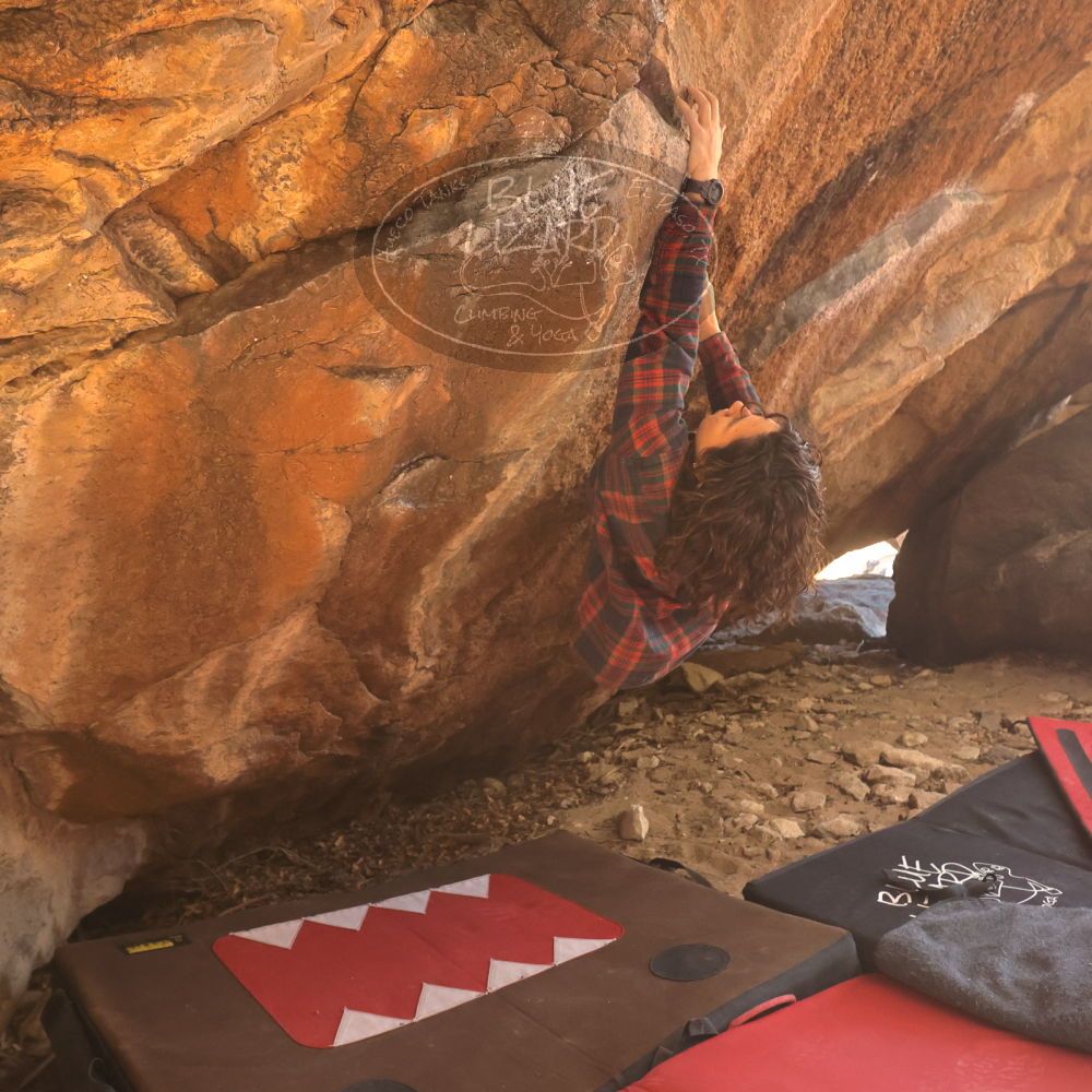 Filename: SRM_20260118_1056320.jpg
Aperture: f/5.6
Shutter Speed: 1/500
Body: Canon EOS R6
Lens: Canon EF 16-35mm f/2.8 L