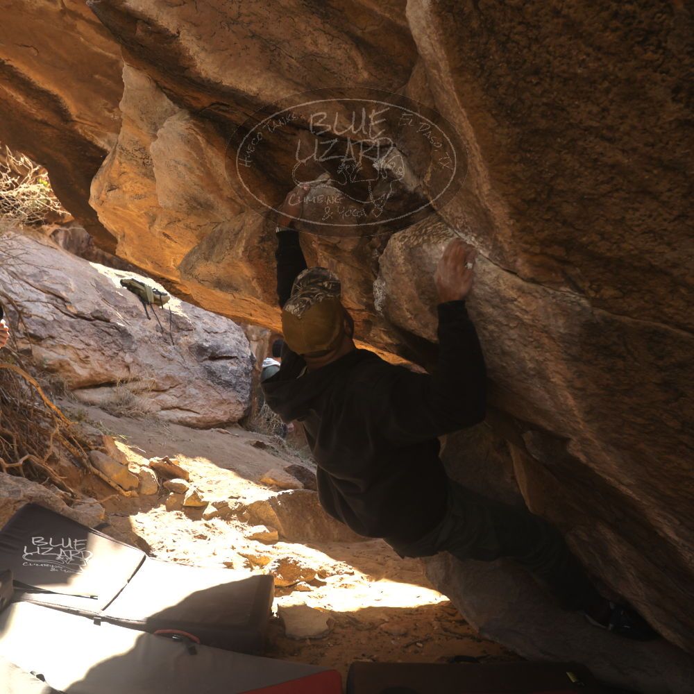 Filename: SRM_20260118_1059400.jpg
Aperture: f/5.6
Shutter Speed: 1/500
Body: Canon EOS R6
Lens: Canon EF 16-35mm f/2.8 L