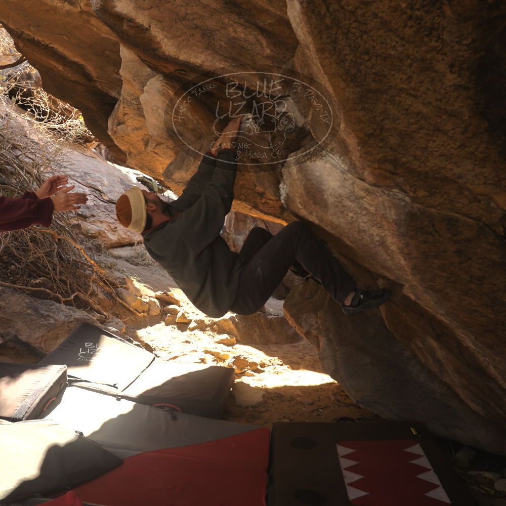 Filename: SRM_20260118_1102460.jpg
Aperture: f/5.6
Shutter Speed: 1/500
Body: Canon EOS R6
Lens: Canon EF 16-35mm f/2.8 L