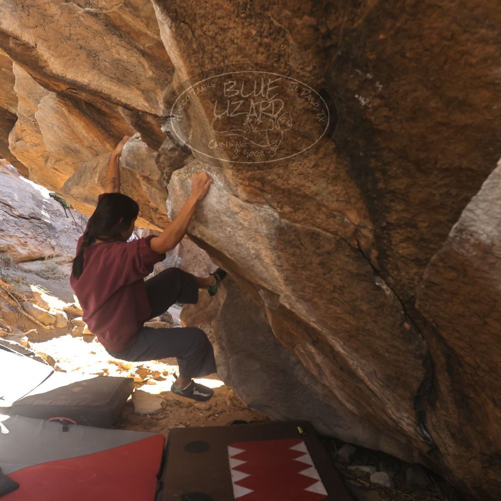 

Filename: SRM_20260118_1110070.jpg
Aperture: f/5.6
Shutter Speed: 1/500
Body: Canon EOS R6
Lens: Canon EF 16-35mm f/2.8 L