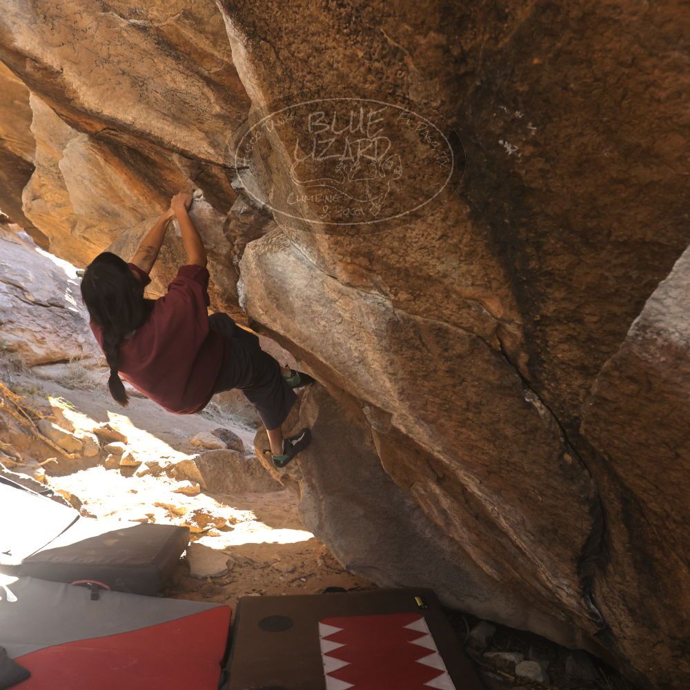 

Filename: SRM_20260118_1110090.jpg
Aperture: f/5.6
Shutter Speed: 1/500
Body: Canon EOS R6
Lens: Canon EF 16-35mm f/2.8 L