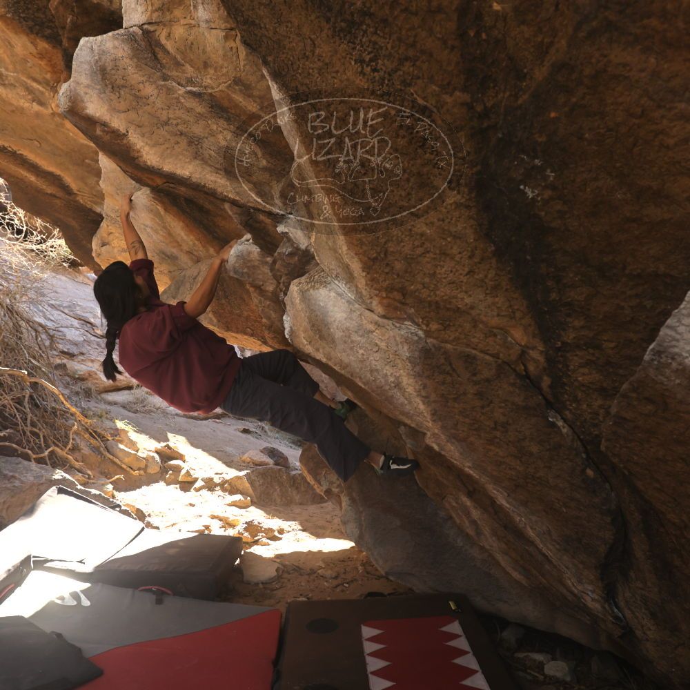 

Filename: SRM_20260118_1110140.jpg
Aperture: f/5.6
Shutter Speed: 1/500
Body: Canon EOS R6
Lens: Canon EF 16-35mm f/2.8 L