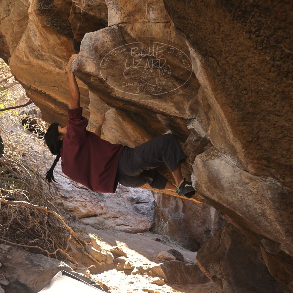 

Filename: SRM_20260118_1110250.jpg
Aperture: f/5.6
Shutter Speed: 1/500
Body: Canon EOS R6
Lens: Canon EF 16-35mm f/2.8 L