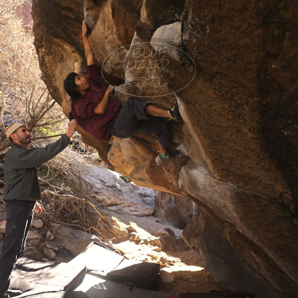 

Filename: SRM_20260118_1110411.jpg
Aperture: f/5.6
Shutter Speed: 1/500
Body: Canon EOS R6
Lens: Canon EF 16-35mm f/2.8 L