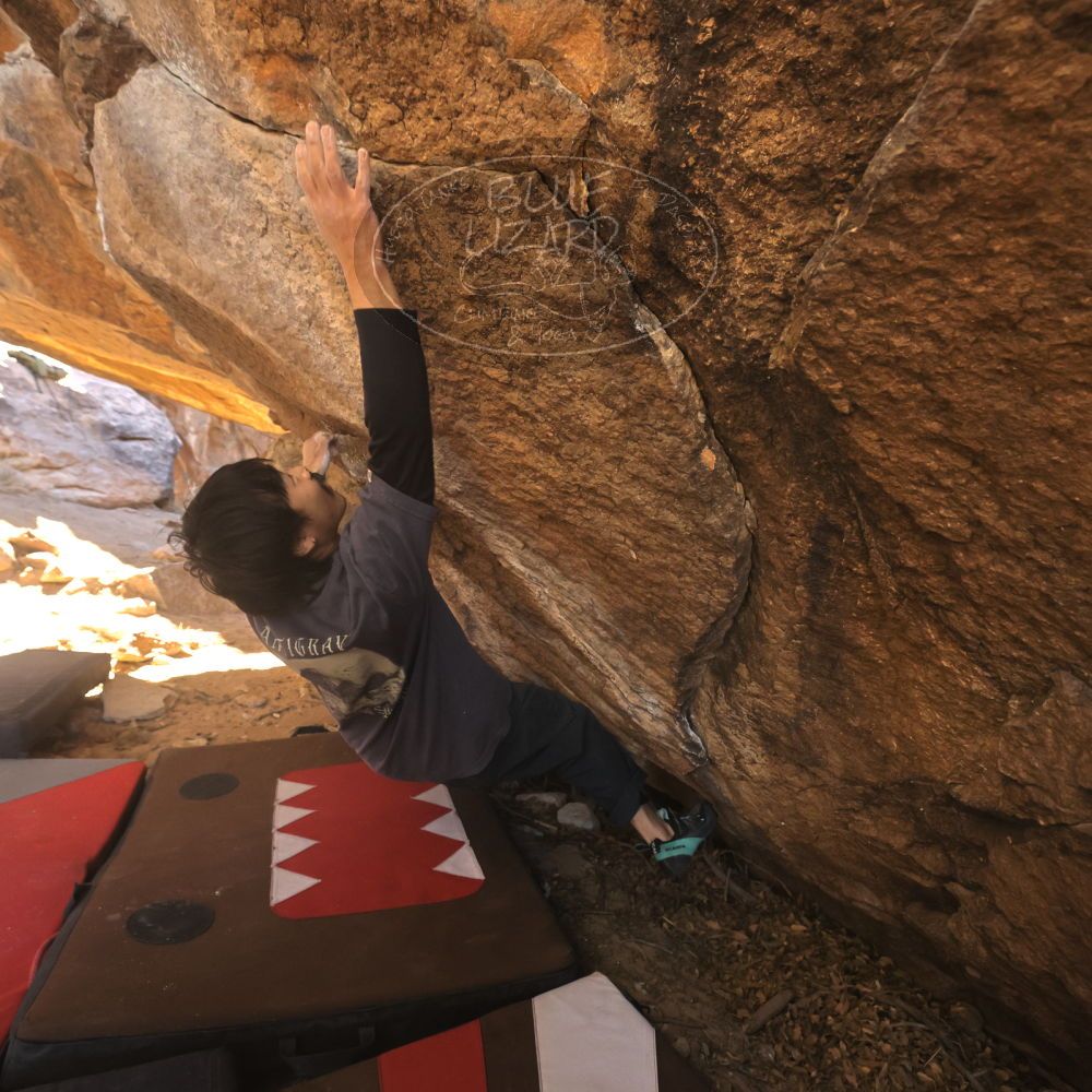 Filename: SRM_20260118_1112070.jpg
Aperture: f/5.6
Shutter Speed: 1/500
Body: Canon EOS R6
Lens: Canon EF 16-35mm f/2.8 L