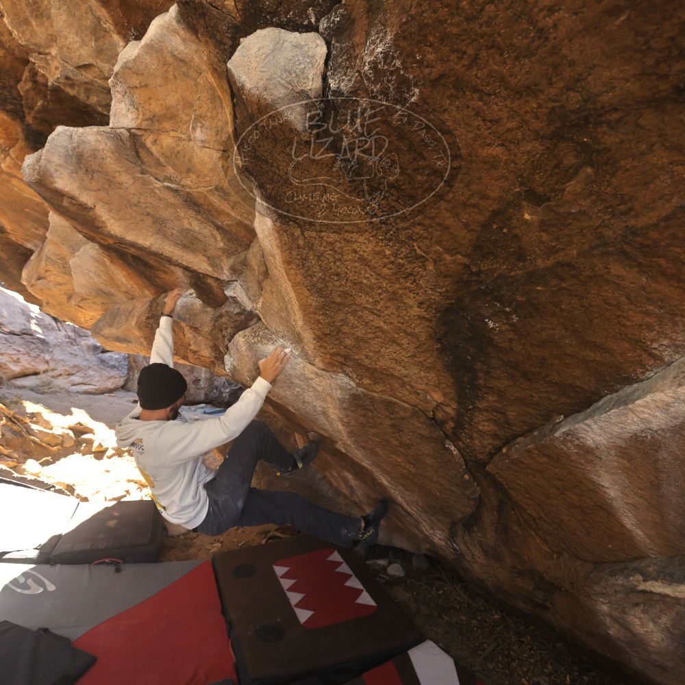 Filename: SRM_20260118_1114480.jpg
Aperture: f/5.6
Shutter Speed: 1/500
Body: Canon EOS R6
Lens: Canon EF 16-35mm f/2.8 L