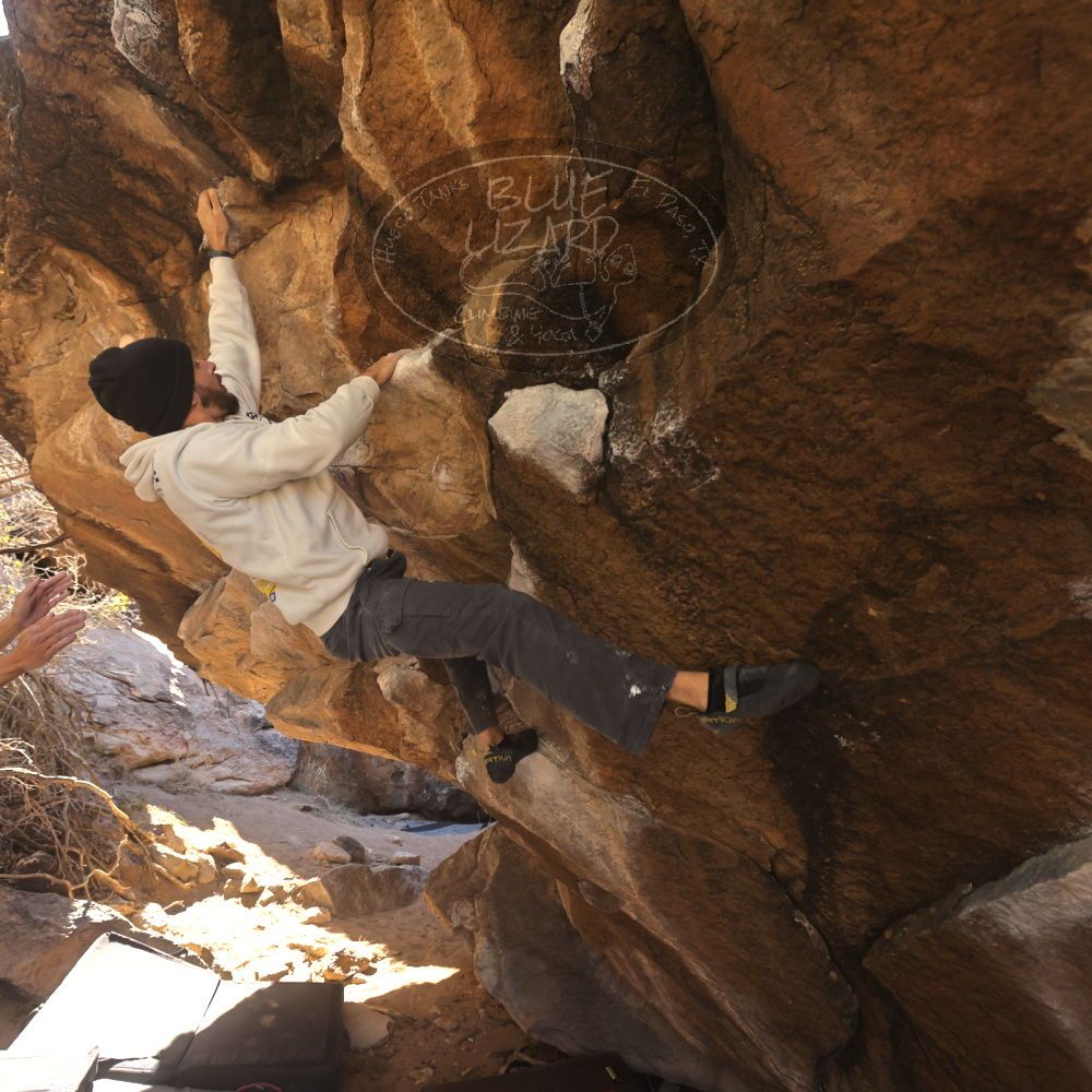 Filename: SRM_20260118_1115250.jpg
Aperture: f/5.6
Shutter Speed: 1/500
Body: Canon EOS R6
Lens: Canon EF 16-35mm f/2.8 L