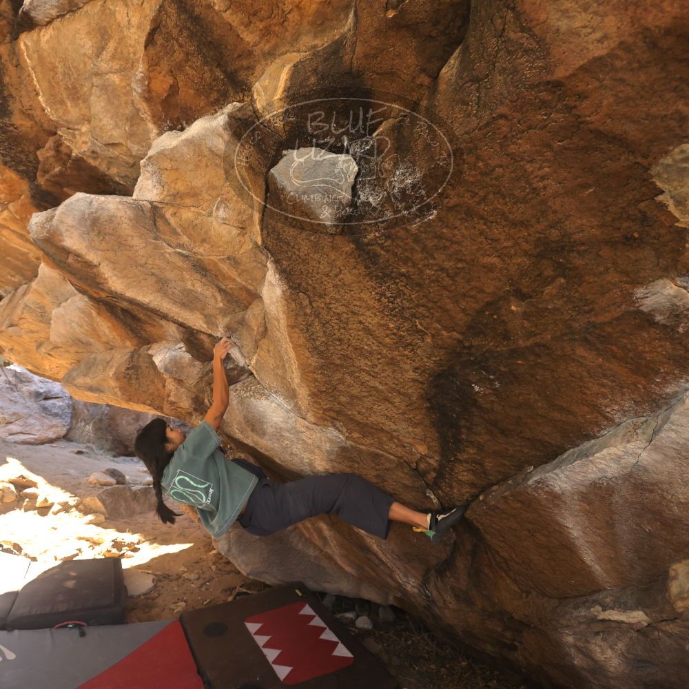 Filename: SRM_20260118_1118460.jpg
Aperture: f/5.6
Shutter Speed: 1/500
Body: Canon EOS R6
Lens: Canon EF 16-35mm f/2.8 L