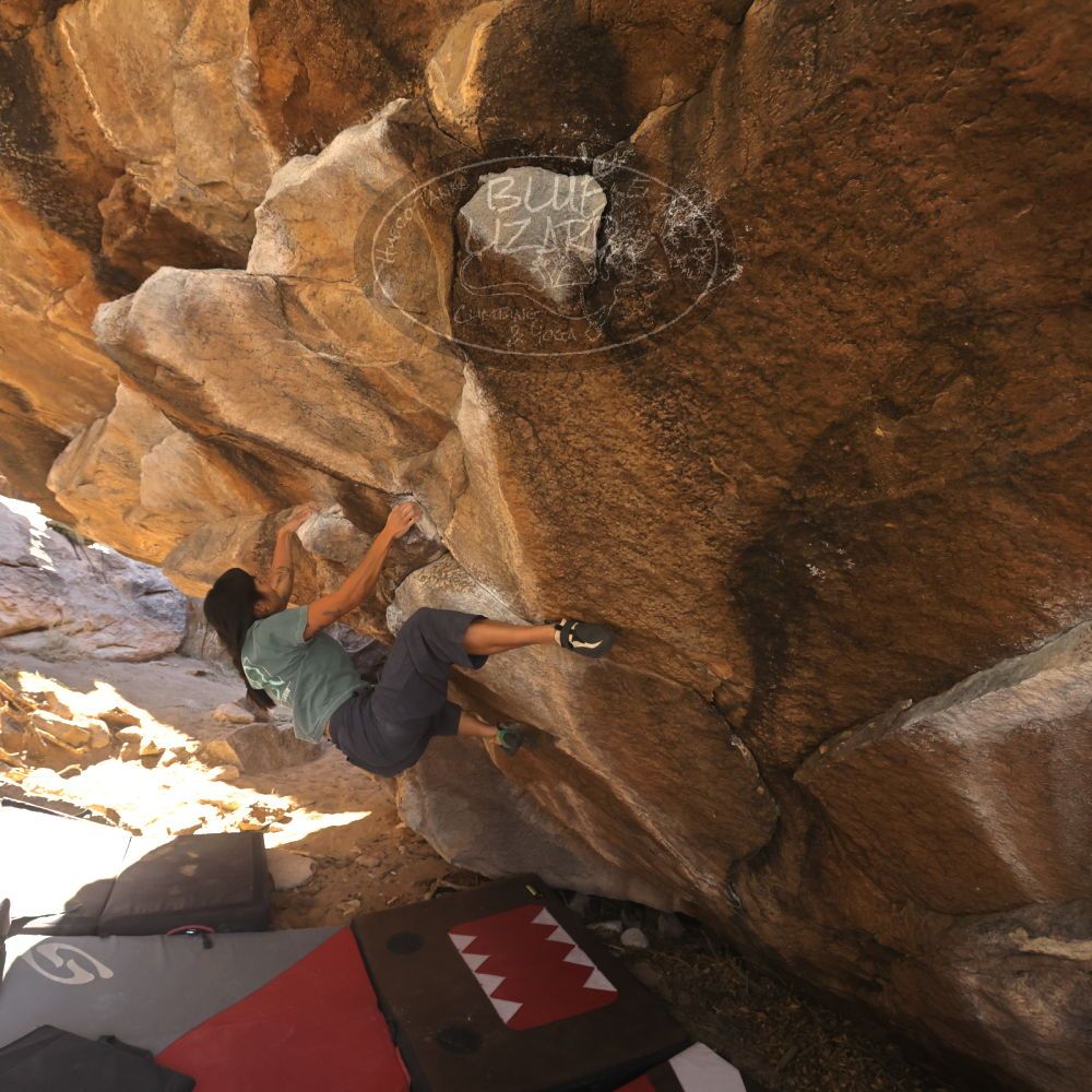 

Filename: SRM_20260118_1118550.jpg
Aperture: f/5.6
Shutter Speed: 1/500
Body: Canon EOS R6
Lens: Canon EF 16-35mm f/2.8 L