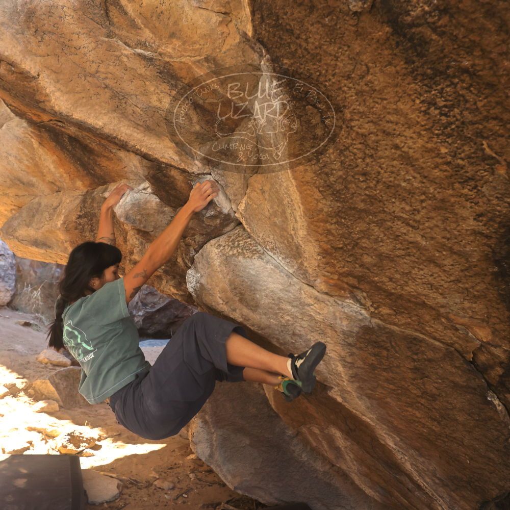 

Filename: SRM_20260118_1118560.jpg
Aperture: f/5.6
Shutter Speed: 1/500
Body: Canon EOS R6
Lens: Canon EF 16-35mm f/2.8 L