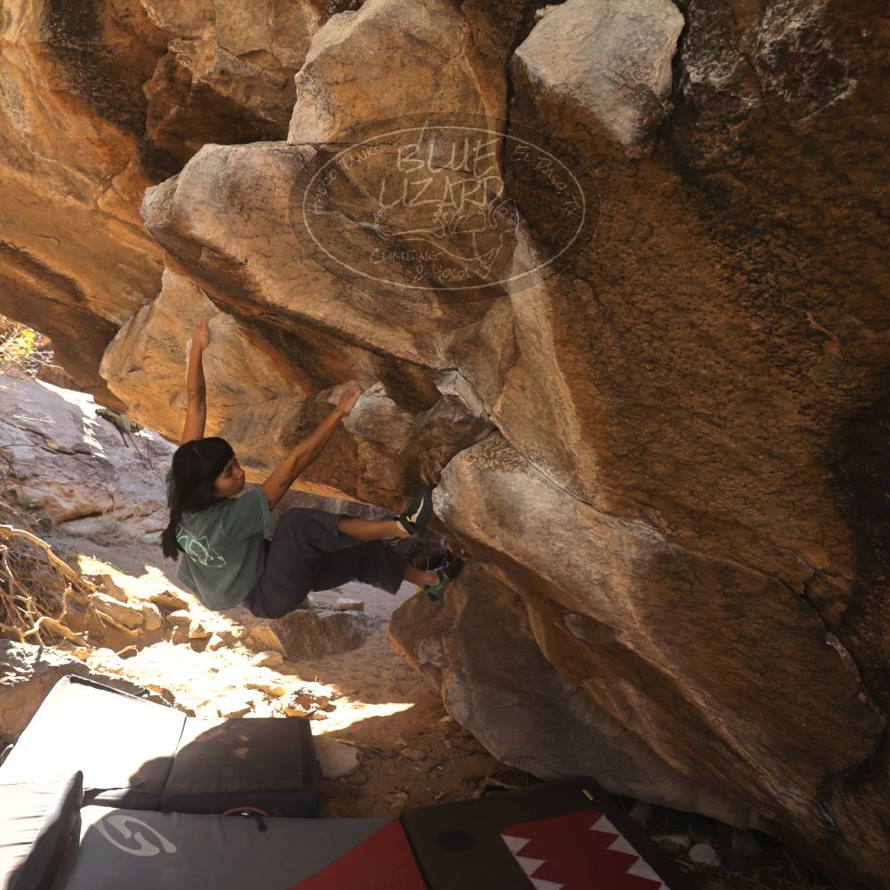 

Filename: SRM_20260118_1119030.jpg
Aperture: f/5.6
Shutter Speed: 1/500
Body: Canon EOS R6
Lens: Canon EF 16-35mm f/2.8 L