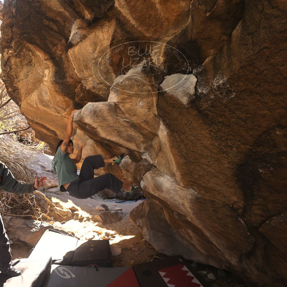 

Filename: SRM_20260118_1119090.jpg
Aperture: f/5.6
Shutter Speed: 1/500
Body: Canon EOS R6
Lens: Canon EF 16-35mm f/2.8 L