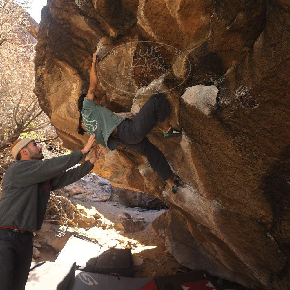 

Filename: SRM_20260118_1119490.jpg
Aperture: f/5.6
Shutter Speed: 1/500
Body: Canon EOS R6
Lens: Canon EF 16-35mm f/2.8 L