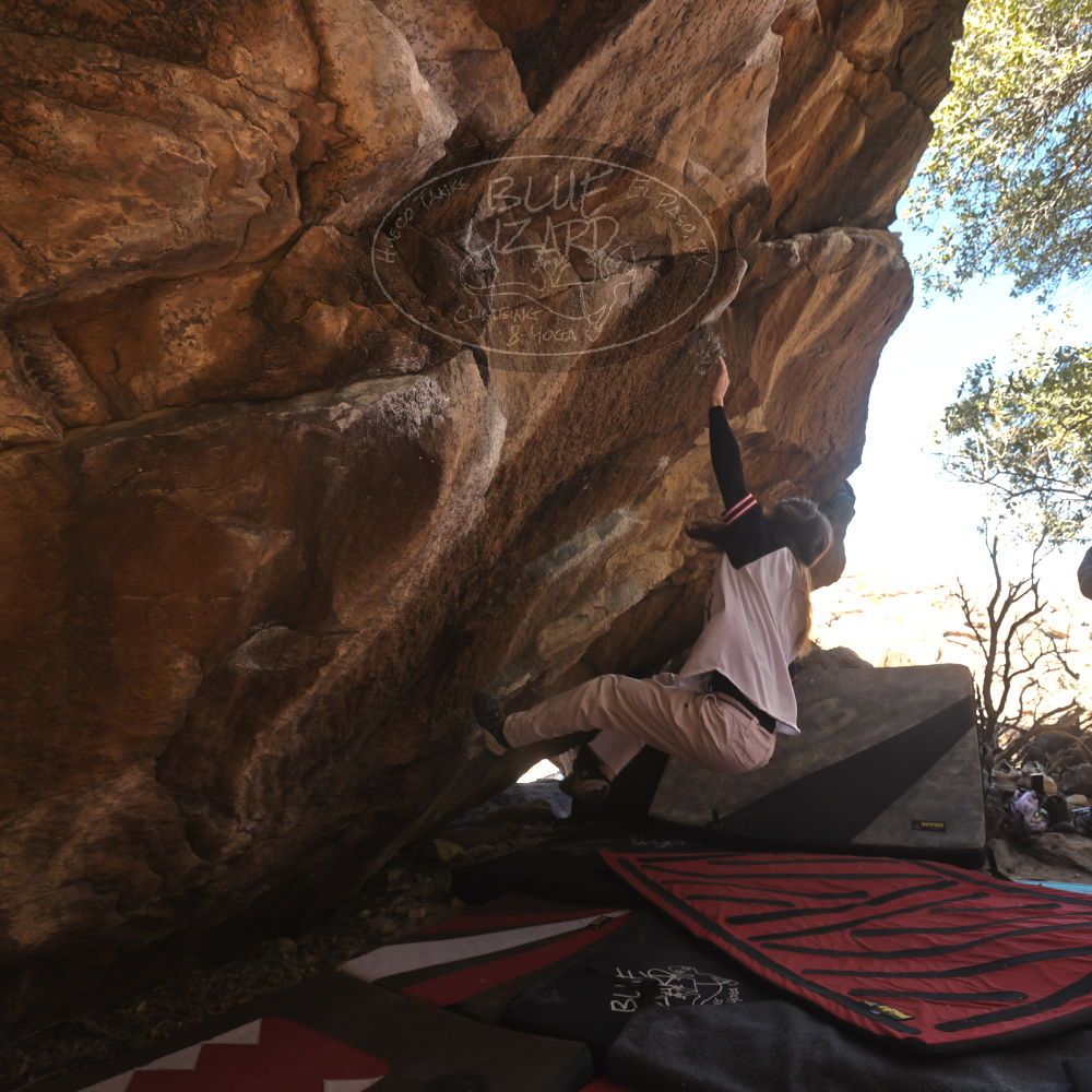 

Filename: SRM_20260118_1127150.jpg
Aperture: f/5.6
Shutter Speed: 1/500
Body: Canon EOS R6
Lens: Canon EF 16-35mm f/2.8 L