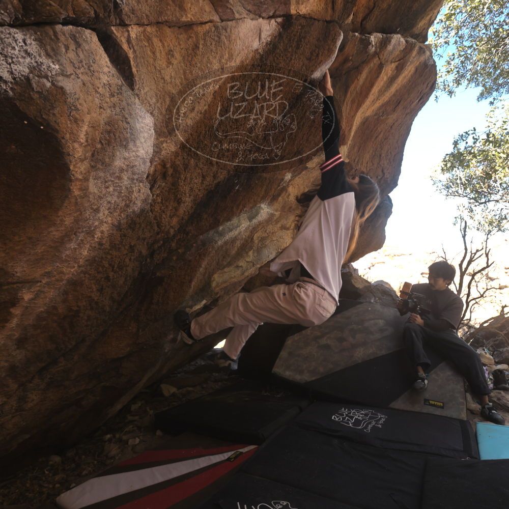 

Filename: SRM_20260118_1133590.jpg
Aperture: f/5.6
Shutter Speed: 1/500
Body: Canon EOS R6
Lens: Canon EF 16-35mm f/2.8 L