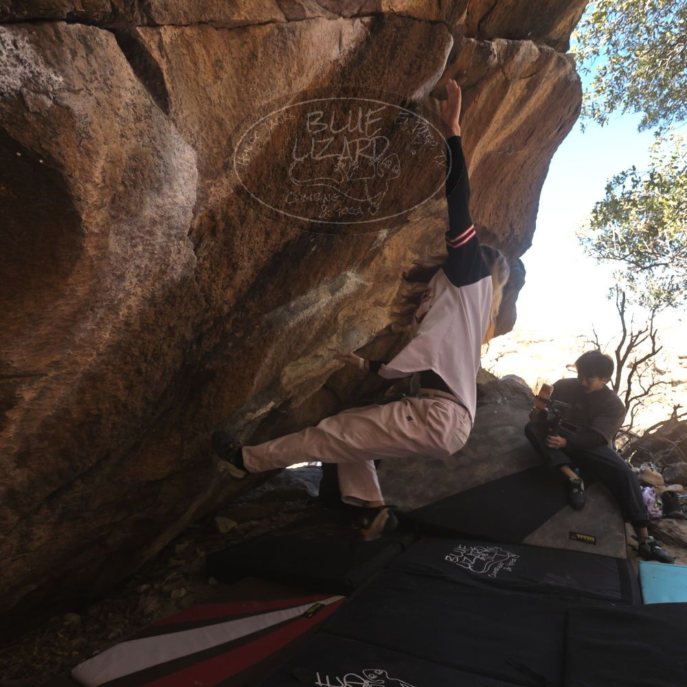 

Filename: SRM_20260118_1134270.jpg
Aperture: f/5.6
Shutter Speed: 1/500
Body: Canon EOS R6
Lens: Canon EF 16-35mm f/2.8 L