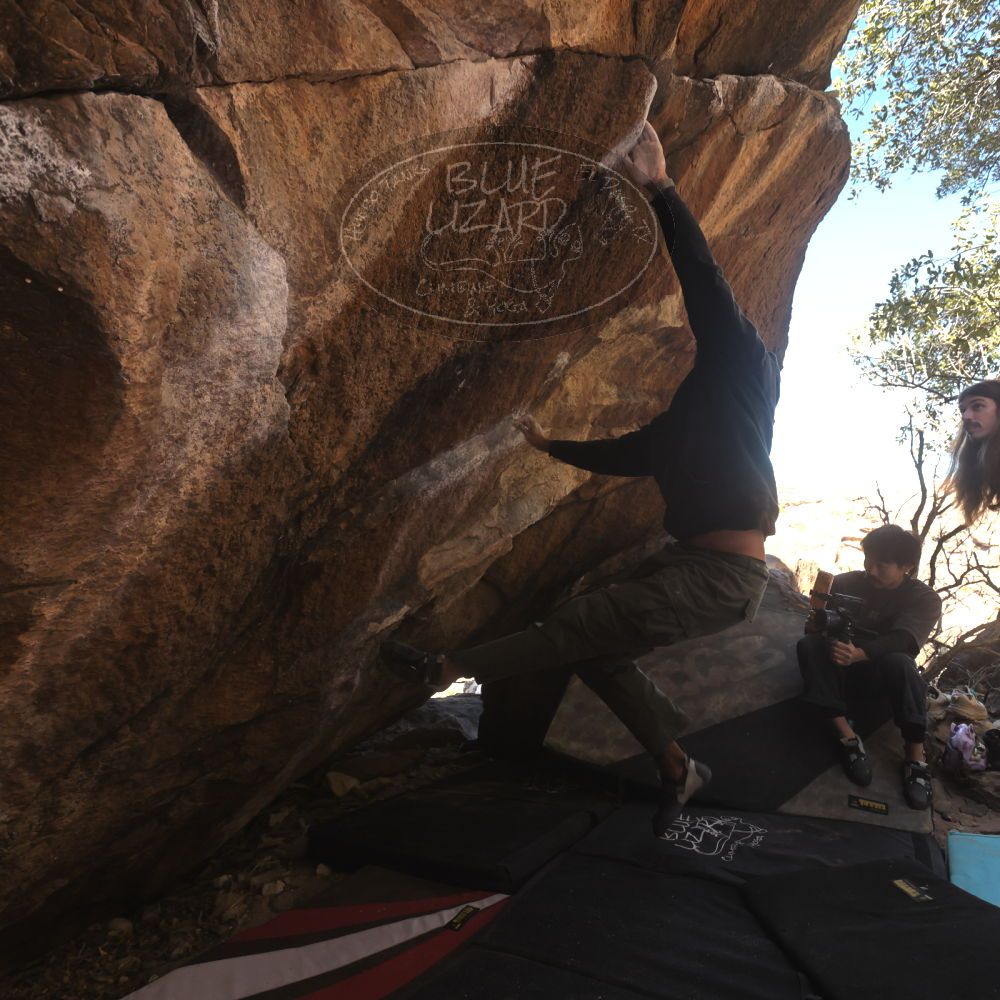 

Filename: SRM_20260118_1140341.jpg
Aperture: f/5.6
Shutter Speed: 1/500
Body: Canon EOS R6
Lens: Canon EF 16-35mm f/2.8 L