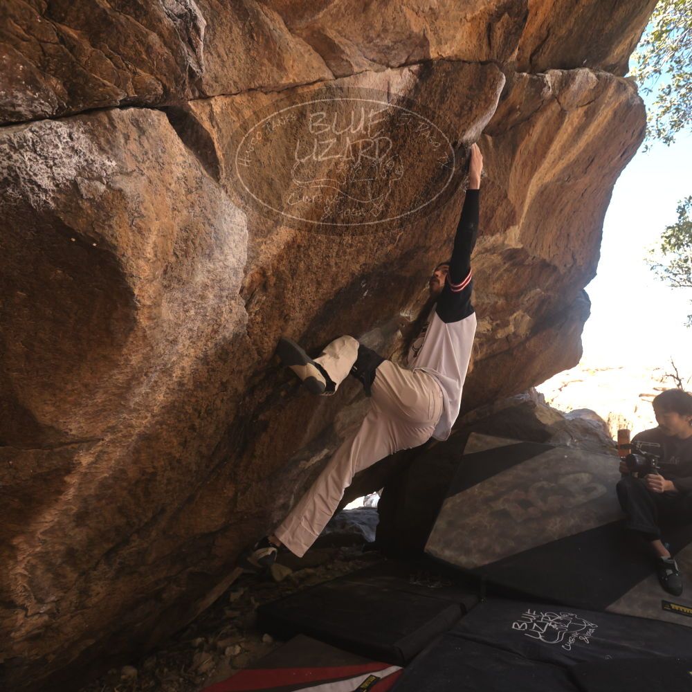 Filename: SRM_20260118_1140570.jpg
Aperture: f/5.6
Shutter Speed: 1/500
Body: Canon EOS R6
Lens: Canon EF 16-35mm f/2.8 L