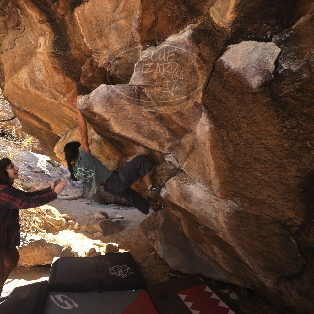 Filename: SRM_20260118_1143230.jpg
Aperture: f/5.6
Shutter Speed: 1/500
Body: Canon EOS R6
Lens: Canon EF 16-35mm f/2.8 L