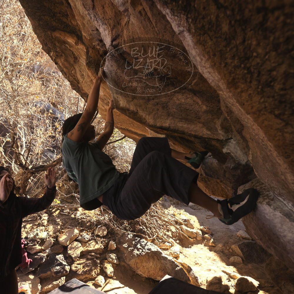 

Filename: SRM_20260118_1143290.jpg
Aperture: f/5.6
Shutter Speed: 1/500
Body: Canon EOS R6
Lens: Canon EF 16-35mm f/2.8 L