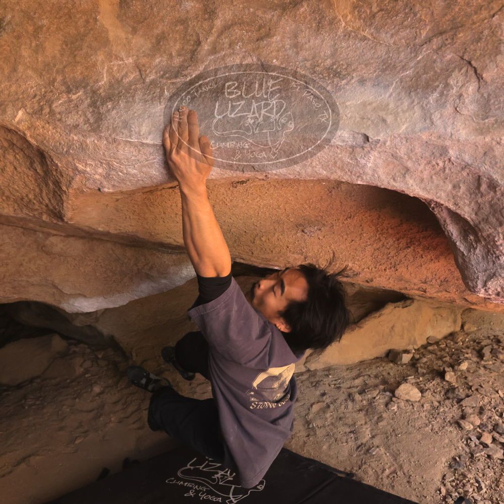 

Filename: SRM_20260118_1200100.jpg
Aperture: f/5.6
Shutter Speed: 1/500
Body: Canon EOS R6
Lens: Canon EF 16-35mm f/2.8 L