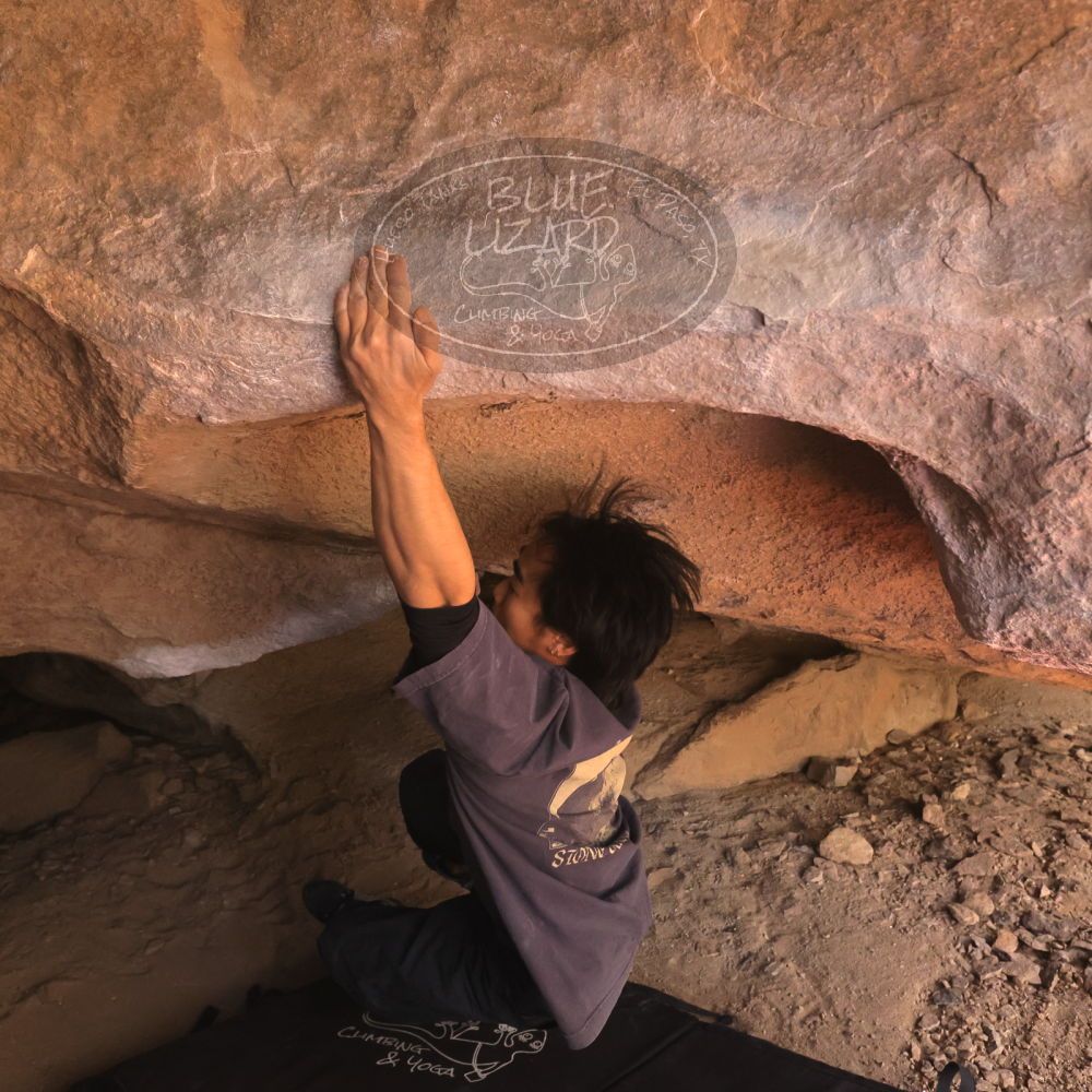 

Filename: SRM_20260118_1200101.jpg
Aperture: f/5.6
Shutter Speed: 1/500
Body: Canon EOS R6
Lens: Canon EF 16-35mm f/2.8 L