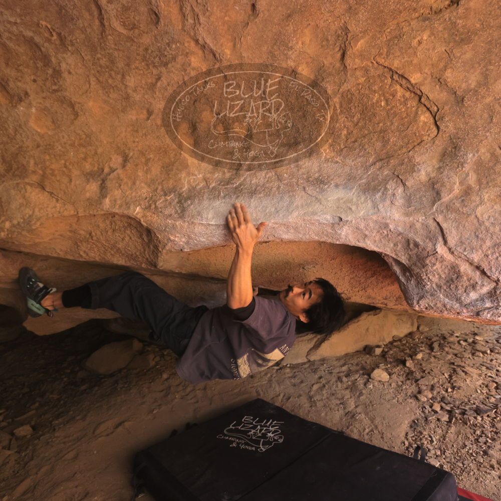 

Filename: SRM_20260118_1200190.jpg
Aperture: f/5.6
Shutter Speed: 1/400
Body: Canon EOS R6
Lens: Canon EF 16-35mm f/2.8 L