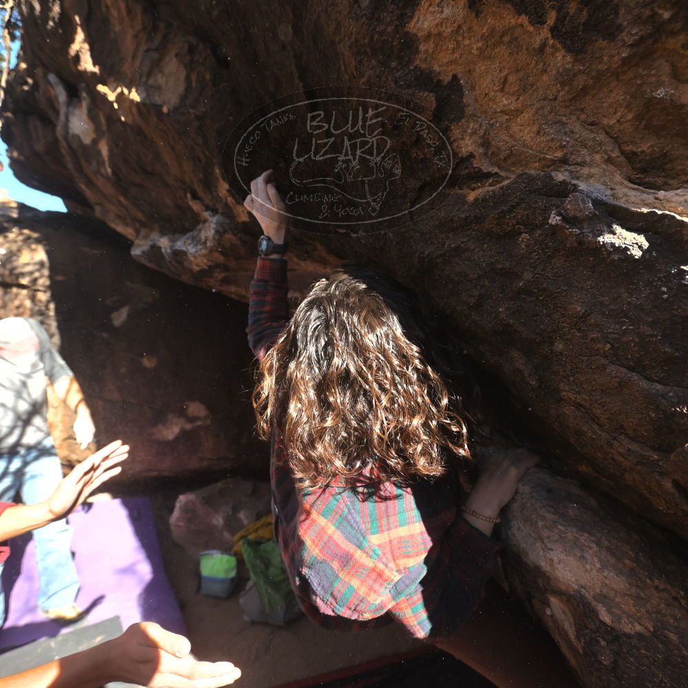 

Filename: SRM_20260118_1202510.jpg
Aperture: f/5.6
Shutter Speed: 1/1250
Body: Canon EOS R6
Lens: Canon EF 16-35mm f/2.8 L