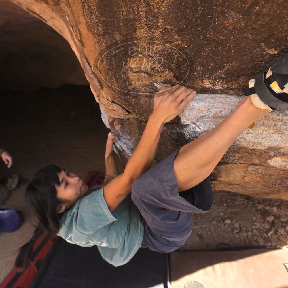 

Filename: SRM_20260118_1205260.jpg
Aperture: f/5.6
Shutter Speed: 1/500
Body: Canon EOS R6
Lens: Canon EF 16-35mm f/2.8 L