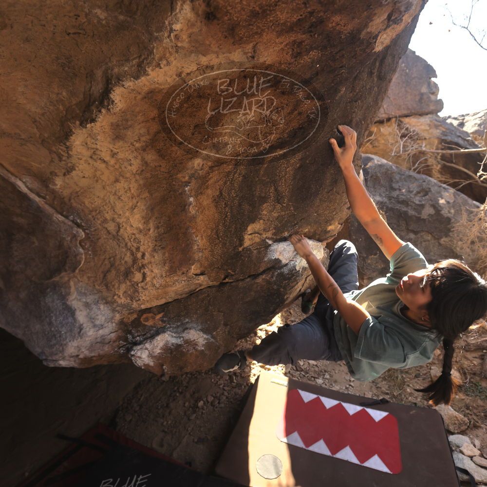 

Filename: SRM_20260118_1205400.jpg
Aperture: f/5.6
Shutter Speed: 1/500
Body: Canon EOS R6
Lens: Canon EF 16-35mm f/2.8 L