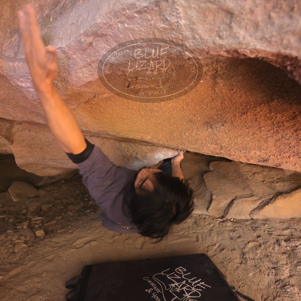 Filename: SRM_20260118_1211220.jpg
Aperture: f/5.6
Shutter Speed: 1/400
Body: Canon EOS R6
Lens: Canon EF 16-35mm f/2.8 L