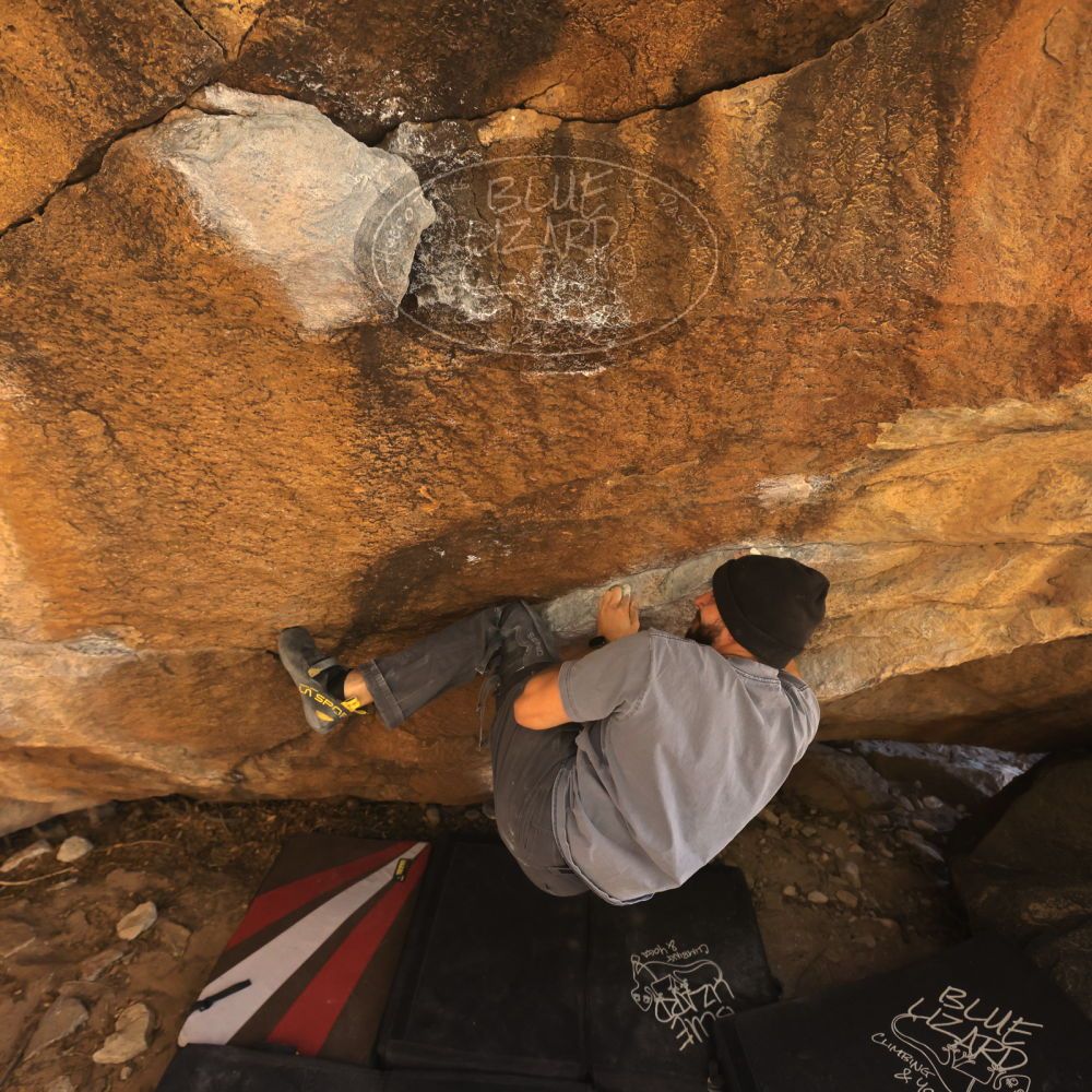 Filename: SRM_20260118_1215511.jpg
Aperture: f/5.6
Shutter Speed: 1/400
Body: Canon EOS R6
Lens: Canon EF 16-35mm f/2.8 L